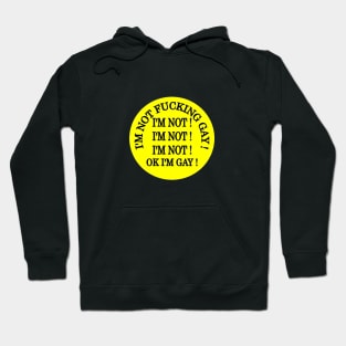 Im not gay.. Hoodie